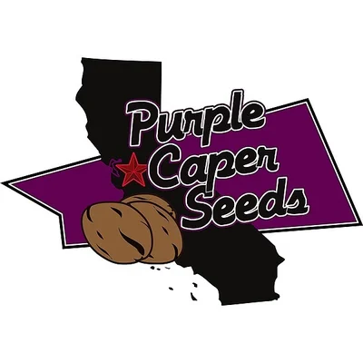 Purple Caper Seeds
